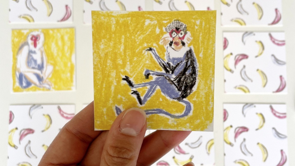 S Pexesopem se nudit rozhodně nebudete. Poznáte všechny opy? Nasbíráte nejvíce dvojic a rozmáznete soupeře jako banán? 32 dvojic opičáků pro vybrané opičárny! Ilustrace pastelem. Pexeso.